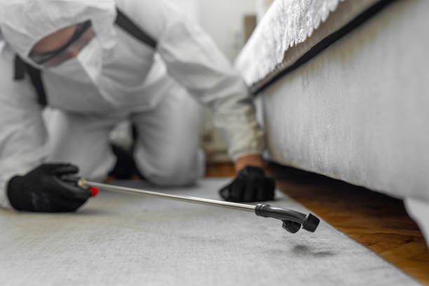 Professional Termite Control technician working in Bastrop, TX