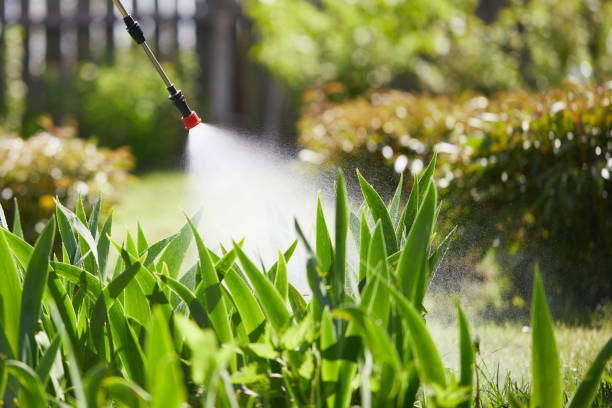 24/7 Emergency Termite Control experts in Bastrop, TX