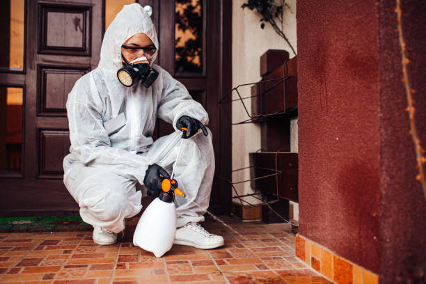 Reliable Termite Control contractor in Bastrop, TX by Nex Pest Control